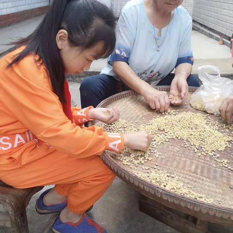 2021年（401）班秦欢欢国庆假期社会实践活动报告