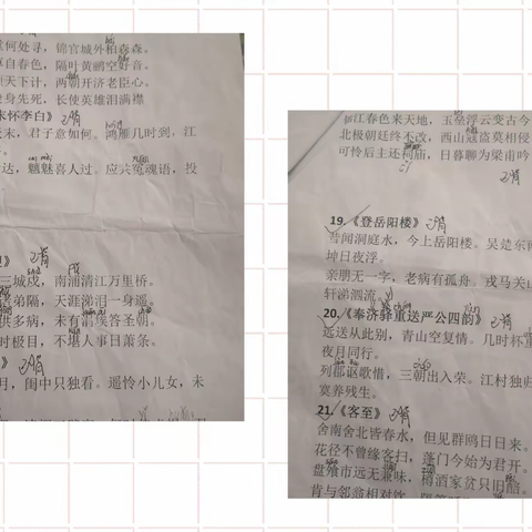 三实小2022暑假社会实践活动  401晨曦中队秦欢欢