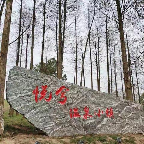 洪湖悦兮温泉小镇