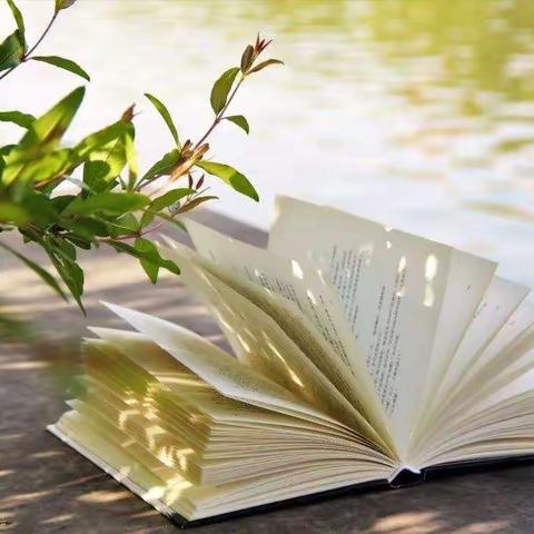 太平镇中心小学四一班“我读书 我快乐”阅读主题活动