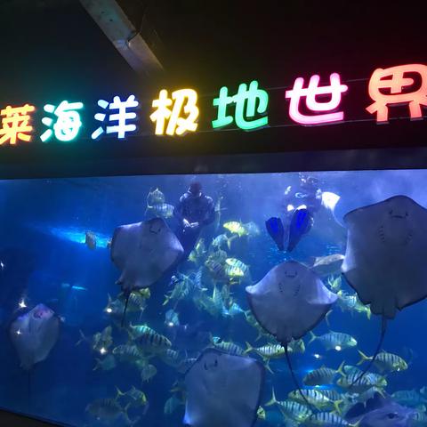 魅力山东行——极地海洋世界   威海