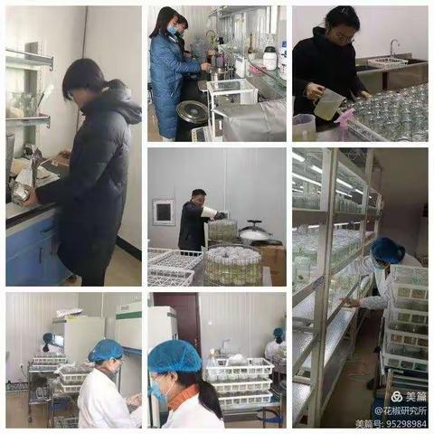 花椒中心12月31日工作动态