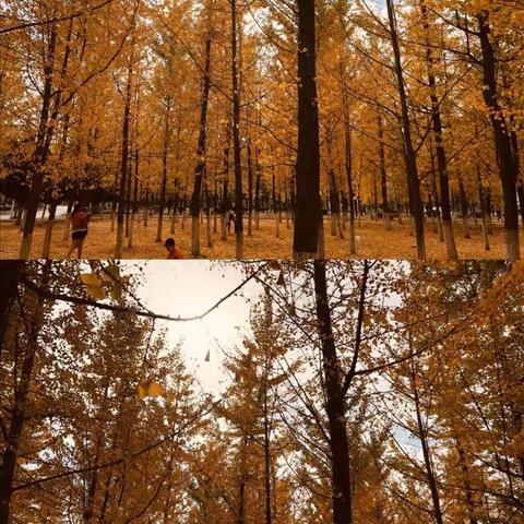 走进秋天