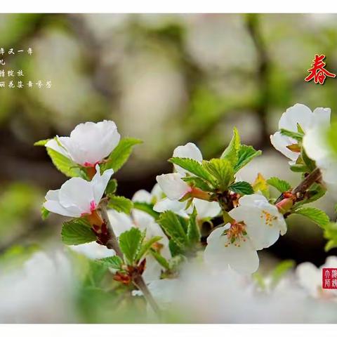 居家网课行，魅力你我他——南海山小学教学日常（2020年3月27日）