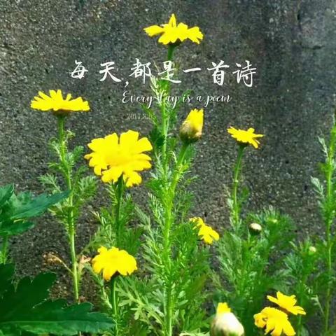 心有阳光，一路向前——南海山小学完美开局