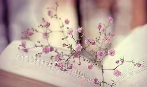 初一助攻之拼教C1807