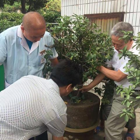 [美化服务环境，清洁家园活动]计生服务站城市清洁大行动进行时