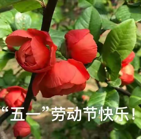 五一相会的温馨