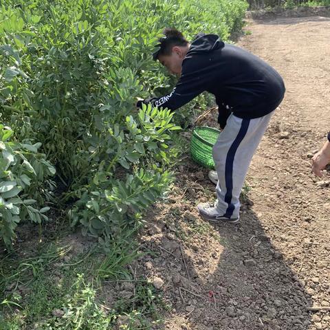 我是振华实小五一班汪晟轩，我劳动我光荣，享春日做美食