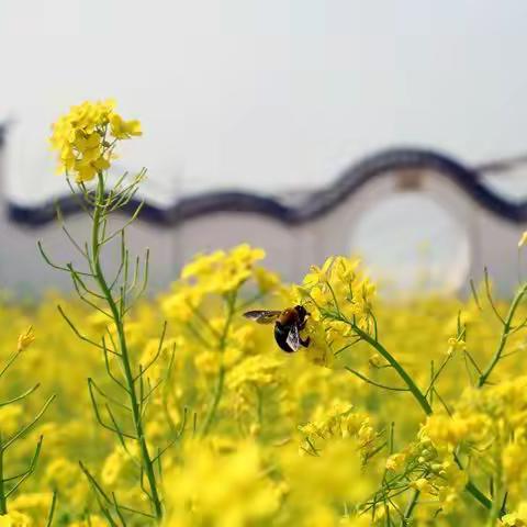 二年七班主题作文:我是？