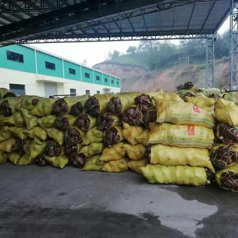 2019年南阳芋头厂招聘信息