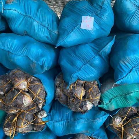 芋头块生产流程图