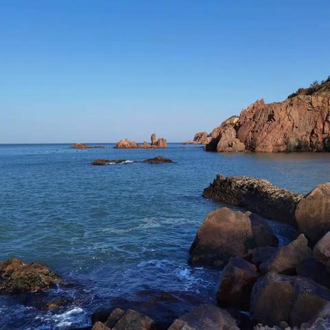 愣愣花花巡海记