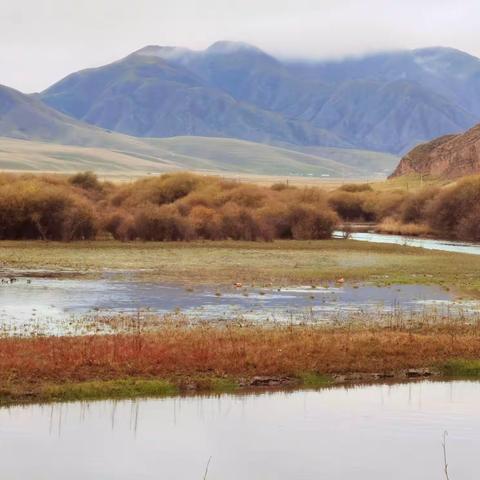 甘南—今生绕不开的天堂之旅