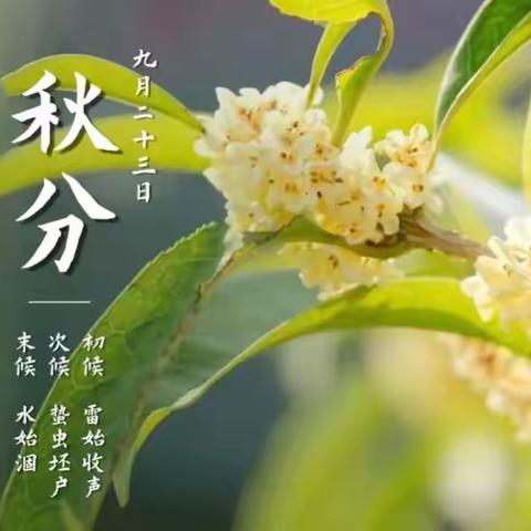 秋分秋分，昼夜平分--大班“秋分”节气主题系列活动