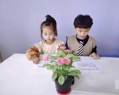 博苑芳林幼儿园20220414期新闻播报及天气预报