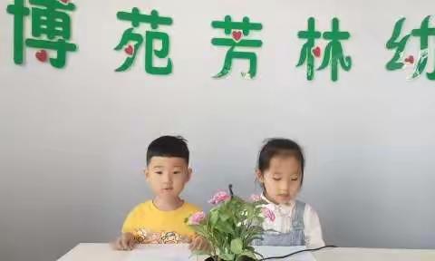 博苑芳林幼儿园20220419期新闻播报及天气预报