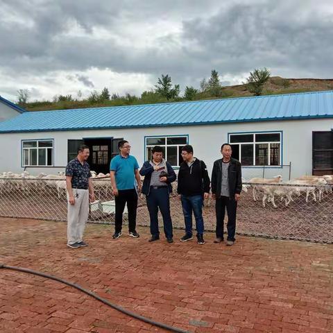国家、自治区、呼伦贝尔市领导，深入扎兰屯市雅尔根楚社区开展畜间布病、结核病调研