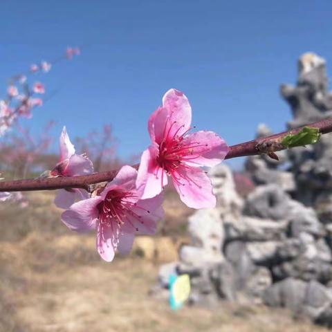 感受花园村之美 ﻿ 体会国家新农村