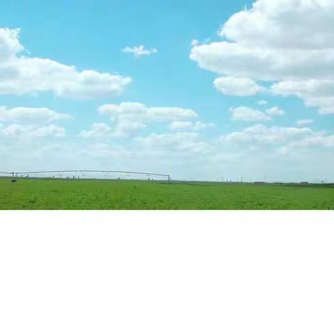 春天吃野菜啦😄！