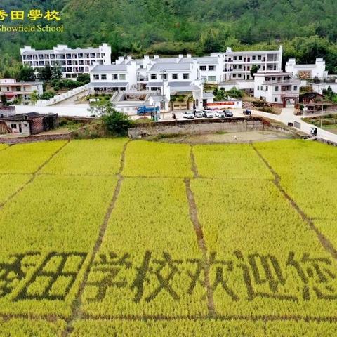 春风十里，不如校园有你