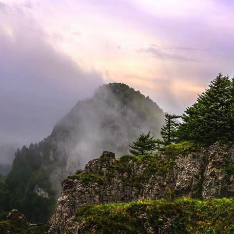 登五龙壑爬千级待雾散  迎赵峪晨披霞光抹白雾