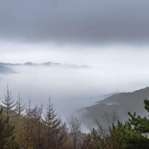 北来沟路断      五龙壑云海