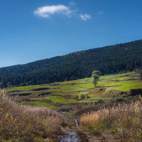 赵峪炊烟袅袅     仁道水流潺潺