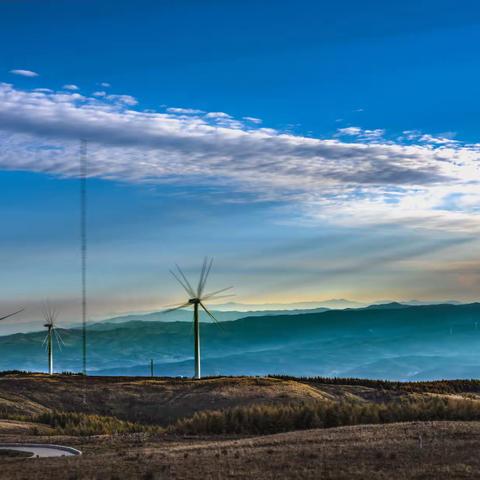 高山草甸风车动    最美花坡观日出