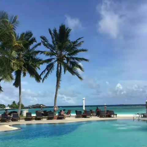 最美深圳小梅沙海底世界之旅