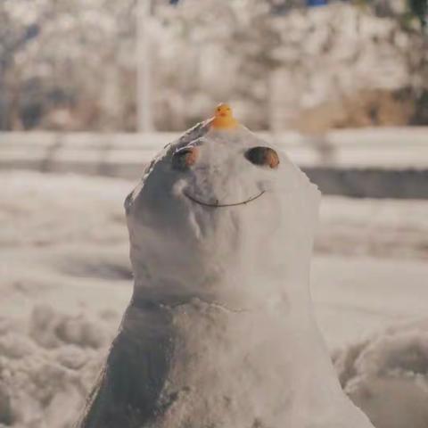 《第一场雪》——榛子镇大岗上小学王浩然同学