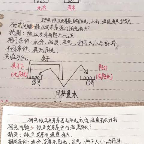 绿发芽对比实验