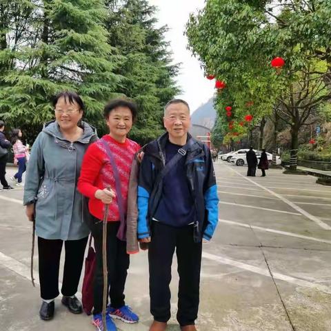 春天的足迹