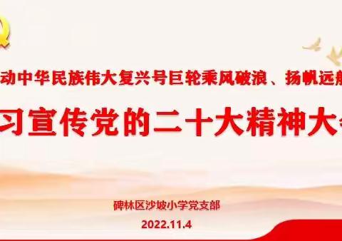 【碑林教育】碑林区沙坡小学召开学习宣传党的二十大精神大会