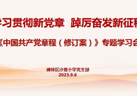 碑林区沙坡小学党支部召开“学习贯彻新党章 · 踔厉奋发新征程”专题学习会