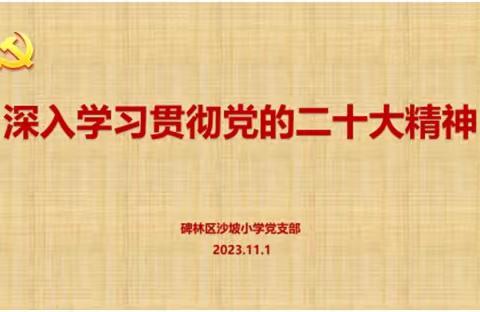 碑林区沙坡小学举行“立足教育岗位 人人争做贡献“主题党日活动