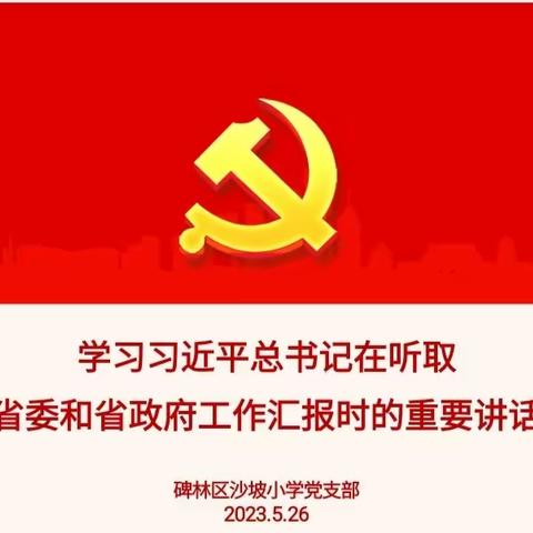 碑林区沙坡小学学习习近平总书记在听取陕西省委和省政府工作汇报时的重要讲话精神