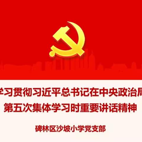 碑林区沙坡小学学习宣传贯彻习近平总书记在中央政治局第五次集体学习时重要讲话精神