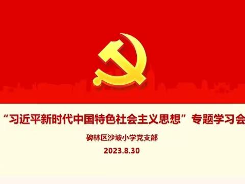 “读原著 悟原理”—— 碑林区沙坡小学党支部深入学习贯彻习近平新时代中国特色社会主义思想