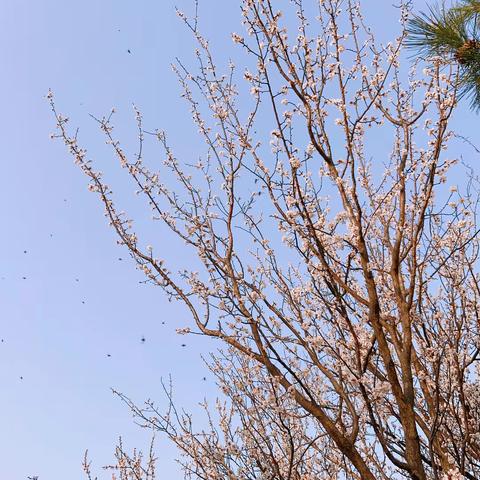 2018级18班蓄势待发，崭露头角
