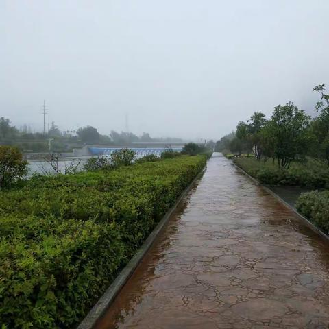 淋淋沥沥的雨