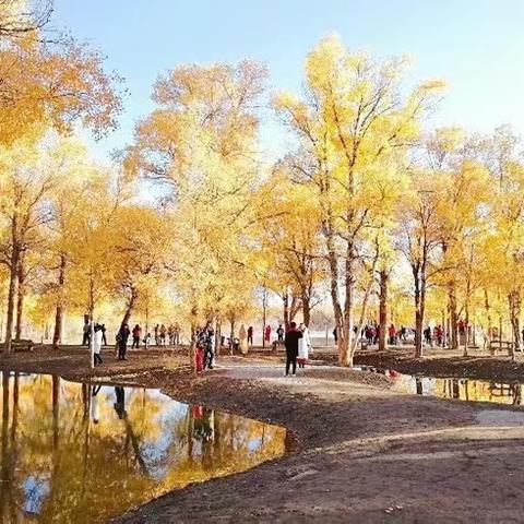 西北之行（二）