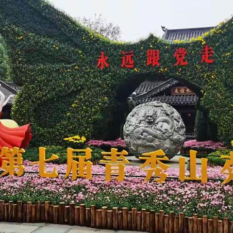 观菊 赏菊 咏菊