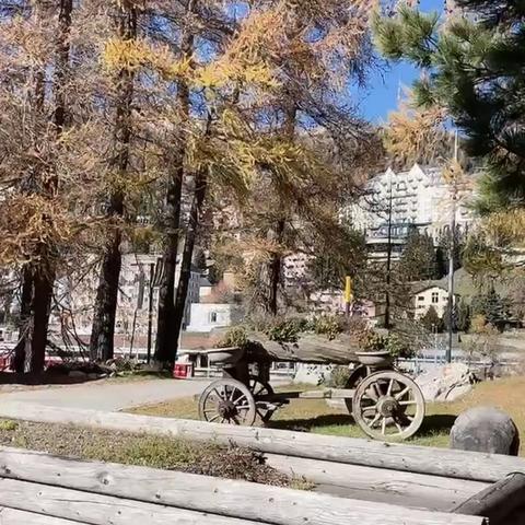 深秋云游瑞士🇨🇭圣莫里茨，享受秋日之美！🌼🌼🌼🌲🌲🌲🌸🌸🌸