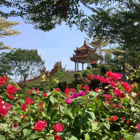 汕头妈屿岛  海湾口的『绿宝石』。🌹🌹🌹🌳🌳🌳🌺🌺🌺