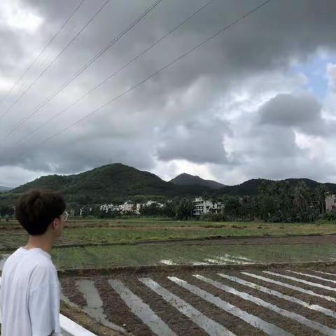 吉阳区生态环境局秸秆禁烧巡查工作日报