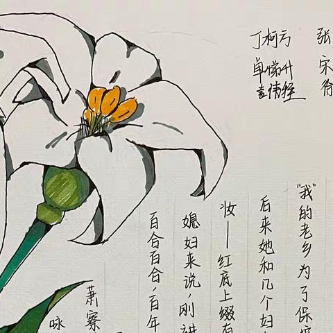 让学生创造着长大——“那花那人那些文化”大单元主题探究成果展示