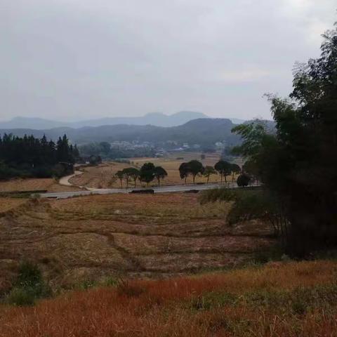 走进秋天  收获成长——光明中心小学四(3)班到凌雉养殖场研学活动