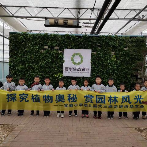 赏园林风光，探植物奥秘，——博兴县实验小学附属幼儿园大三班走进博华农业