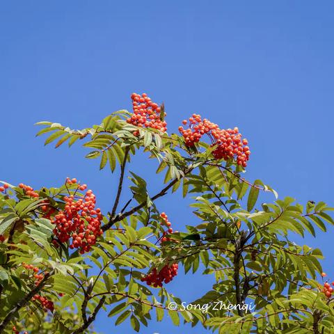 秋分前再访大草甸